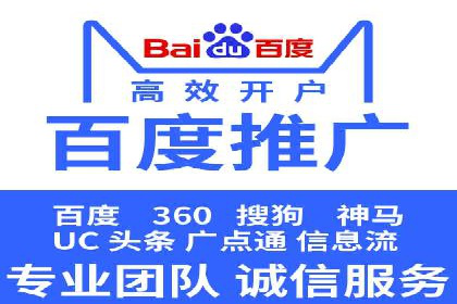 SEO百度推广策略：成功案例解析